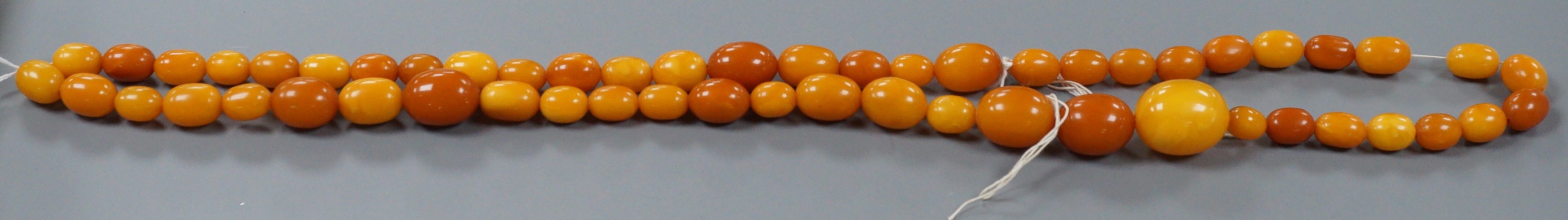 A single strand graduated oval amber bead necklace, 96cm, gross weight 106 grams.